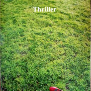 In het maanlicht – Nicci Gerard