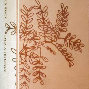 De belofte – Chaim Potok