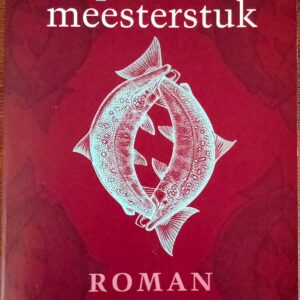 Nina, een meisje – Amy Hassinger