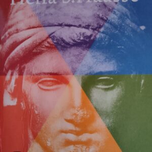 De reünie – Simone van der Vlugt (hardcover)